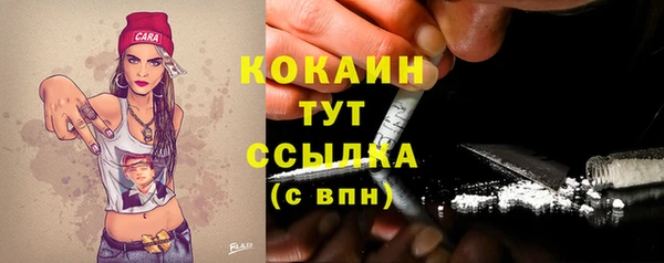 амф Алексин