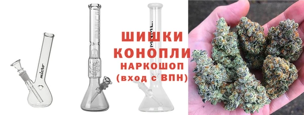 шишки Алзамай