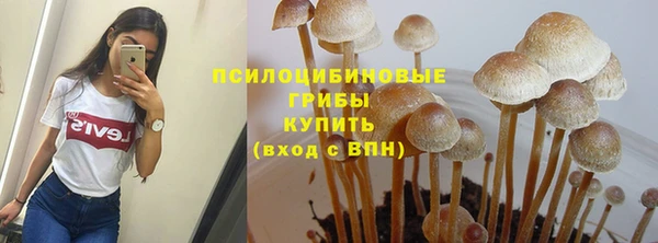 PSILOCYBIN Арсеньев