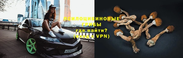 PSILOCYBIN Арсеньев