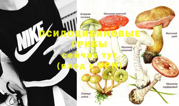 PSILOCYBIN Арсеньев
